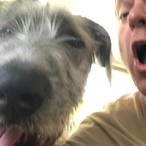 Meet your Posher, Todd